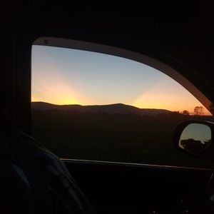 Meet your Posher, Ricky